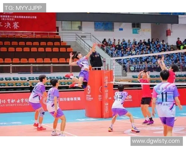 成都排球队在排球状态排行榜中荣登第十名展现出强劲实力与潜力