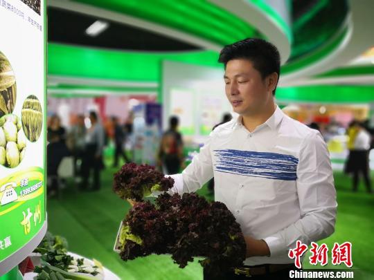 丝路农香飘张掖 17国有机农产品齐聚，共筑食品安全新标杆